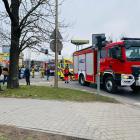 Fotka nr 1 z 11