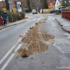 zdjęcie nr 10