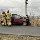 zdjęcie nr 15