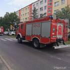 Fotka nr 3 z 10