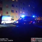 Fotka nr 2 z 11