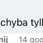 zdjęcie nr 11