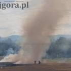 zdjęcie nr 31