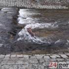 zdjęcie nr 9