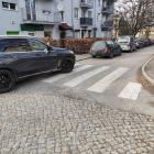 fot. Straż Miejska Jelenia Góra