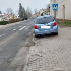 Fotka nr 4 z 8