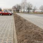 zdjęcie nr 25