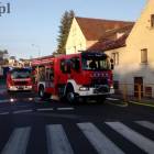 Fotka nr 2 z 6