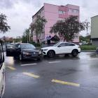 Fotka nr 3 z 8