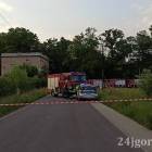 zdjęcie nr 7