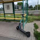 fot. Straż Miejska Jelenia Góra
