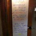 Fotka nr 4 z 43