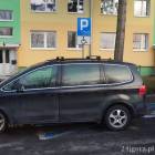 Fotka nr 1 z 7
