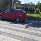 fot. Straż Miejska Jelenia Góra