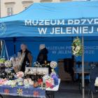 zdjęcie nr 16