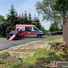 zdjęcie nr 7