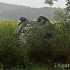 Fotka nr 3 z 7