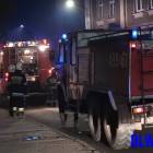 Fotka nr 2 z 24