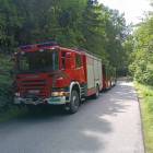 Fotka nr 3 z 4