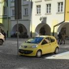 fot. Straż Miejska Jelenia Góra