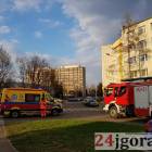 Fotka nr 1 z 5