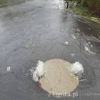 zdjęcie nr 3