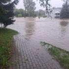 zdjęcie nr 8