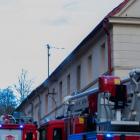 Fotka nr 5 z 8