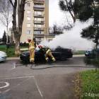Fotka nr 3 z 15