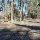 Fotka nr 2 z 3