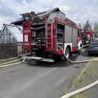Fotka nr 3 z 13