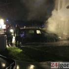 Fotka nr 2 z 10