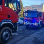 Fotka nr 5 z 16