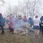 zdjęcie nr 14