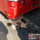 zdjęcie nr 7