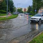 zdjęcie nr 11