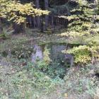 zdjęcie nr 16
