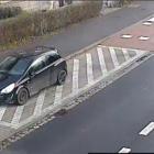 ​​​​​​​fot. Straż Miejska Jelenia Góra