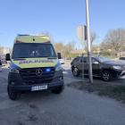 Fotka nr 2 z 11
