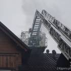 Fotka nr 3 z 11