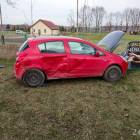zdjęcie nr 8