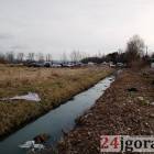 Fotka nr 4 z 11