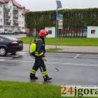 zdjęcie nr 9