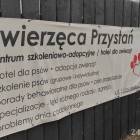 zdjęcie nr 5