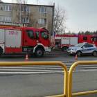 zdjęcie nr 9