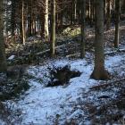 fot. Karkonosze GO