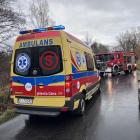 zdjęcie nr 7
