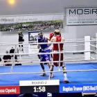 Fotka nr 1 z 12