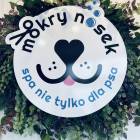 zdjęcie nr 14