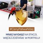 Fotka nr 3 z 4